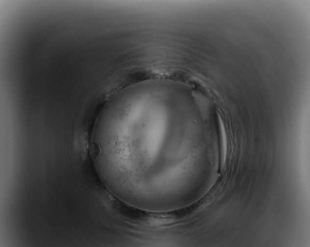 X0000088380707200705291348