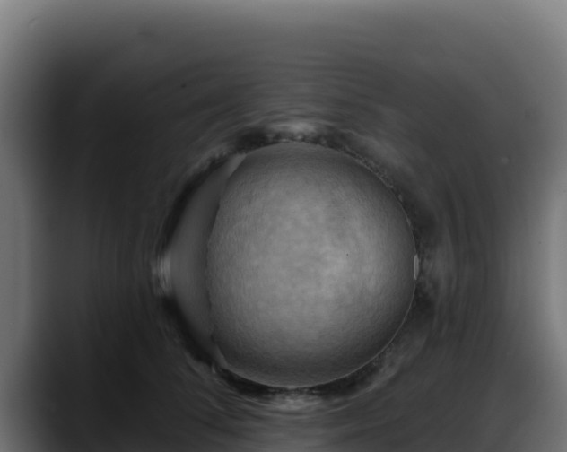X0000088380708200705291348