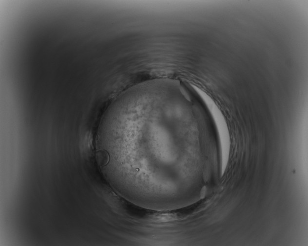 X0000088380711200705291348