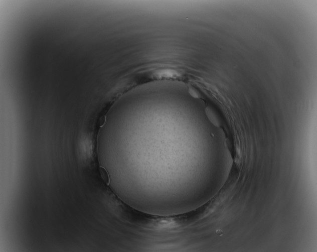 X0000088380715200705291348