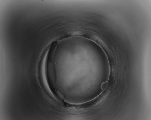 X0000088380725200705291347