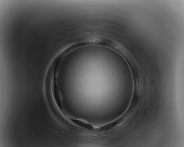 X0000088380726200705291347
