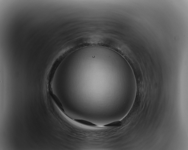 X0000088380727200705291347