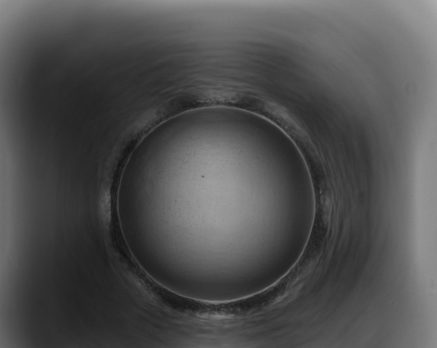 X0000088380729200705291347