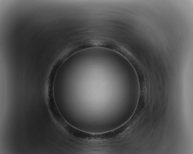 X0000088380730200705291347
