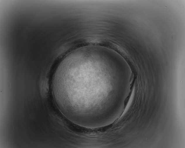 X0000088380731200705291347