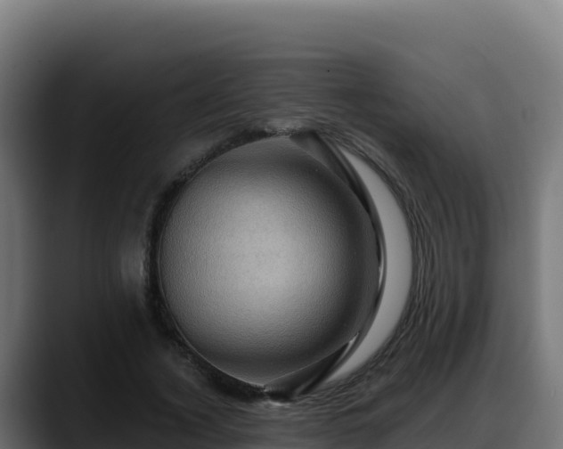 X0000088380732200705291347