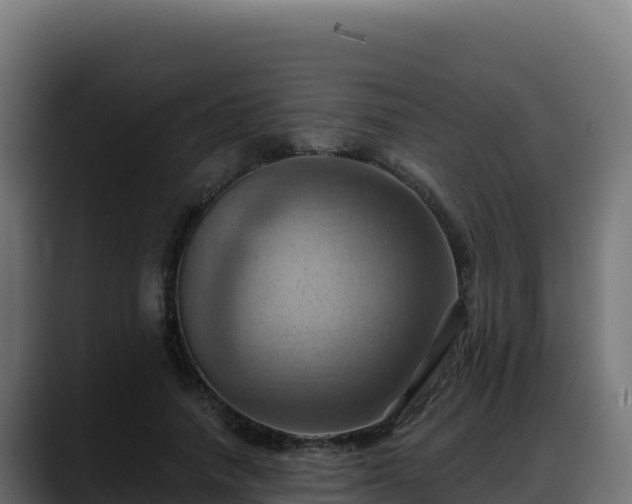 X0000088380738200705291347