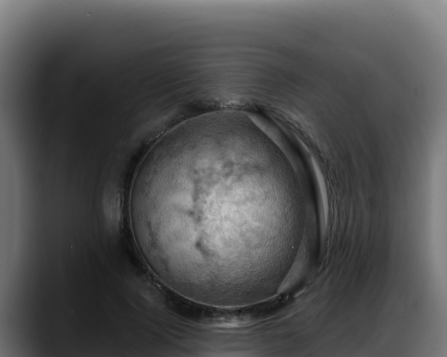 X0000088380740200705291347