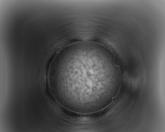 X0000088380741200705291347