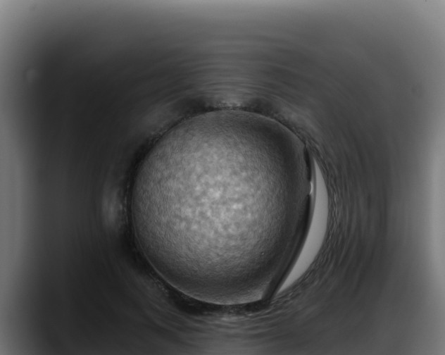 X0000088380743200705291347