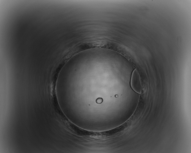 X0000088380745200705291347