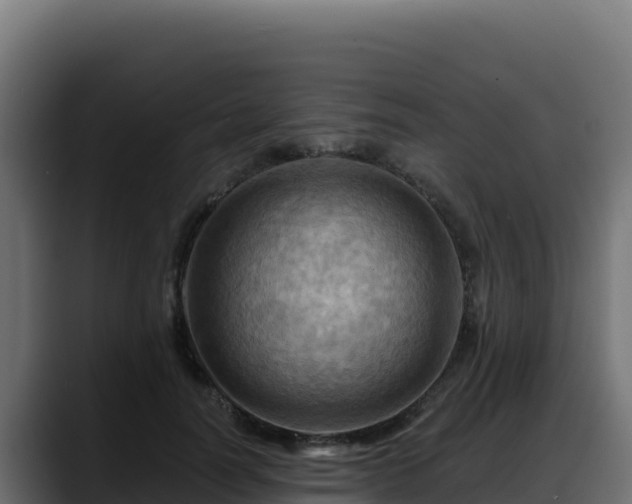 X0000088380746200705291347