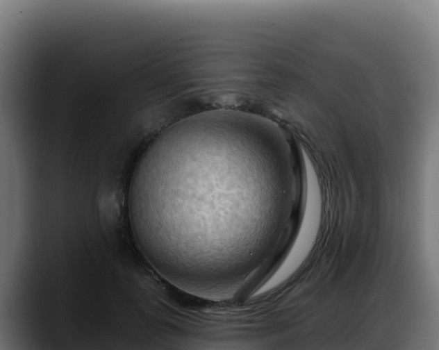 X0000088380747200705291347