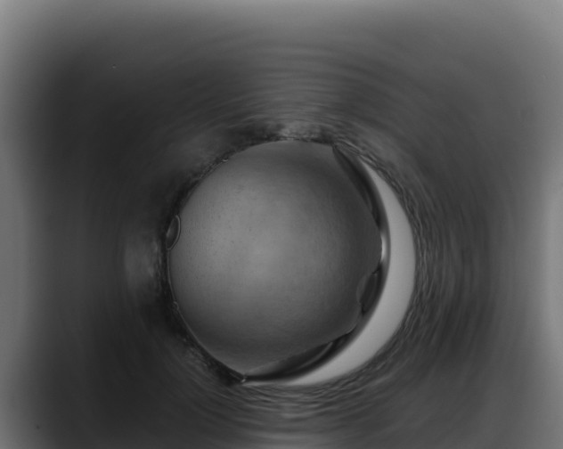X0000088380748200705291347