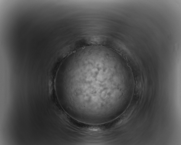 X0000088380749200705291347