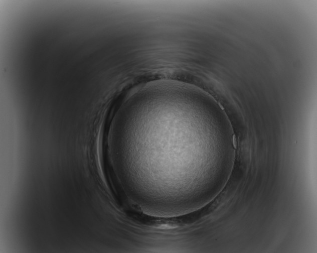 X0000088380750200705291347