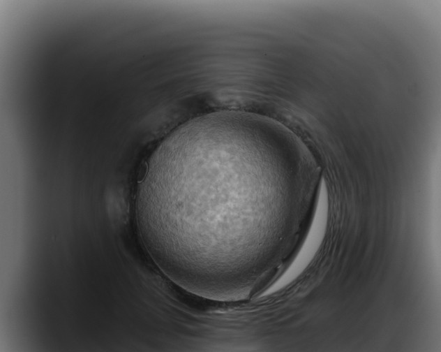 X0000088380751200705291347