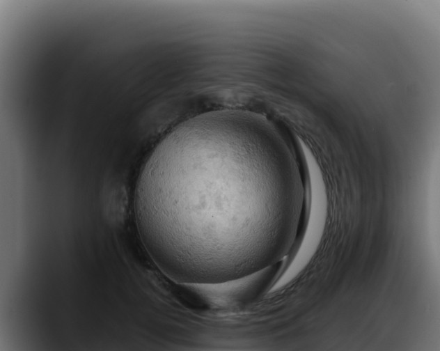 X0000088380752200705291347