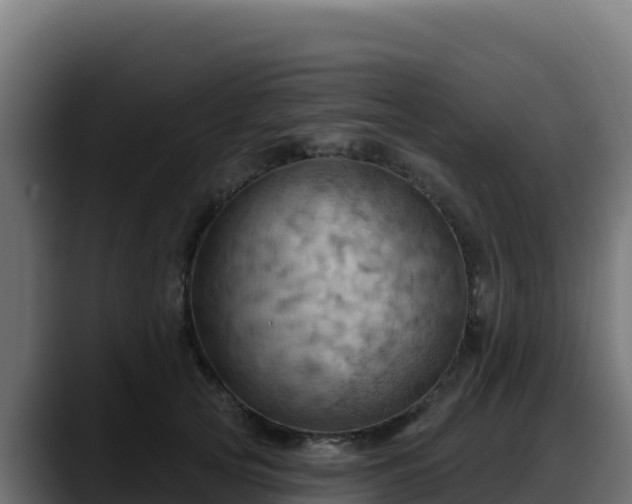 X0000088380753200705291347