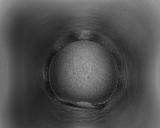 X0000088380755200705291347
