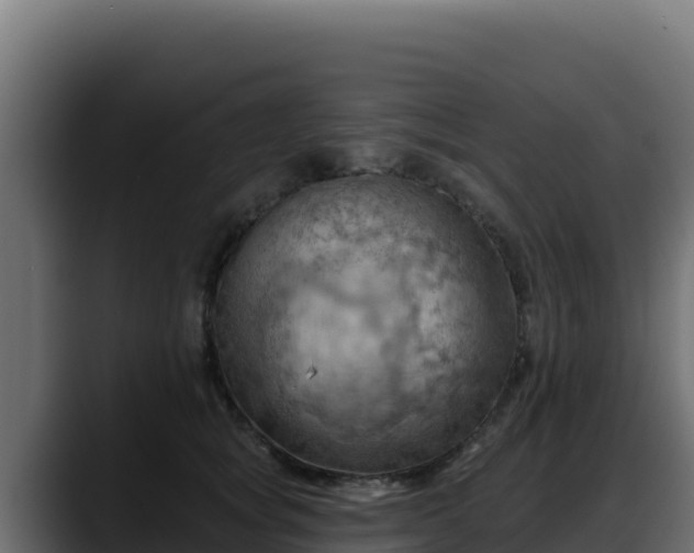 X0000088380757200705291347