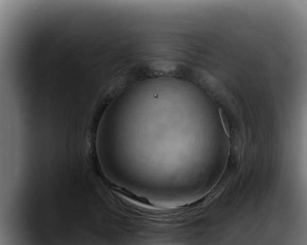 X0000088380758200705291347