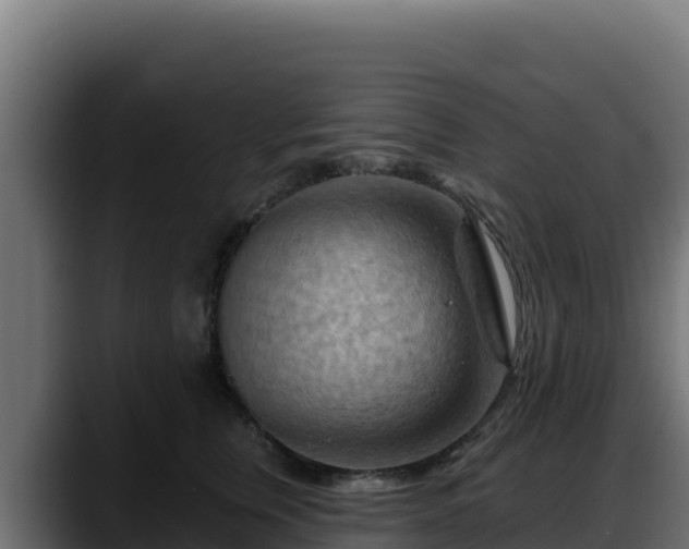 X0000088380759200705291347