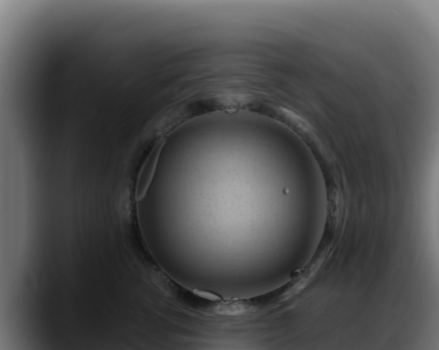 X0000088380762200705291347