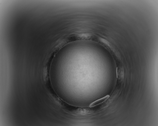 X0000088380764200705291347