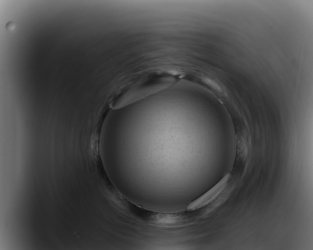 X0000088380766200705291347