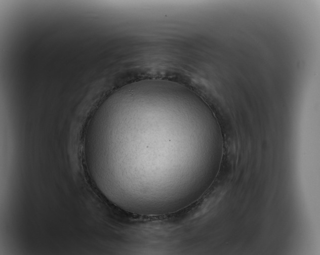 X0000088380769200705291347