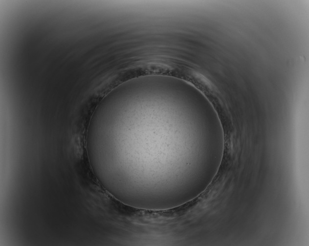 X0000088380774200705291347