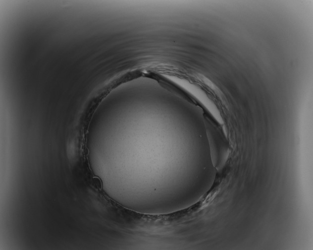 X0000088380775200705291347