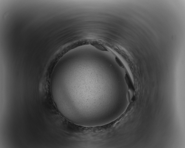 X0000088380776200705291347