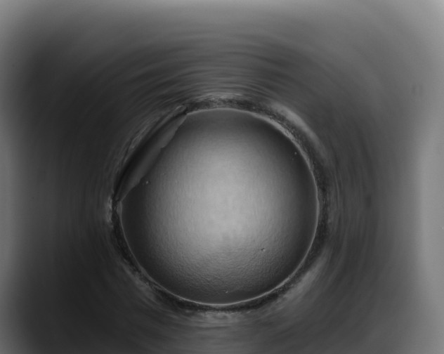 X0000088380777200705291347