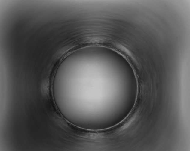 X0000088380778200705291347