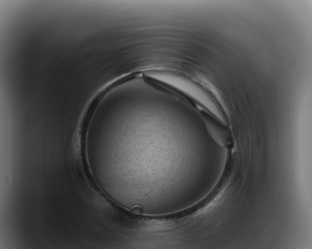 X0000088380779200705291347