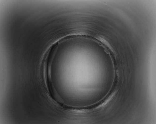 X0000088380781200705291347