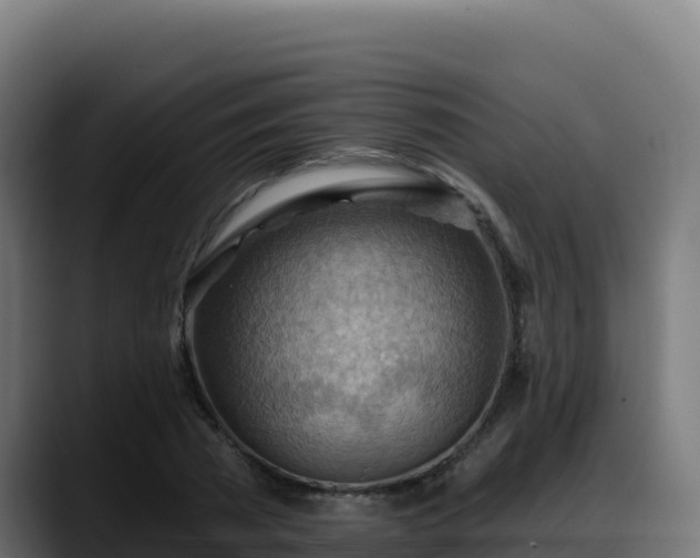 X0000088380785200705291347