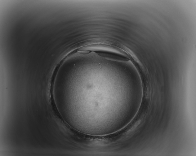 X0000088380786200705291347