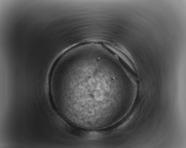 X0000088380787200705291347