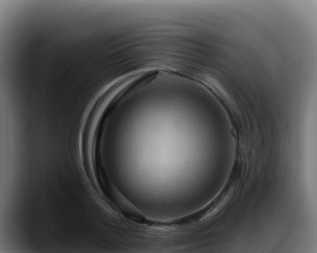X0000088380788200705291347
