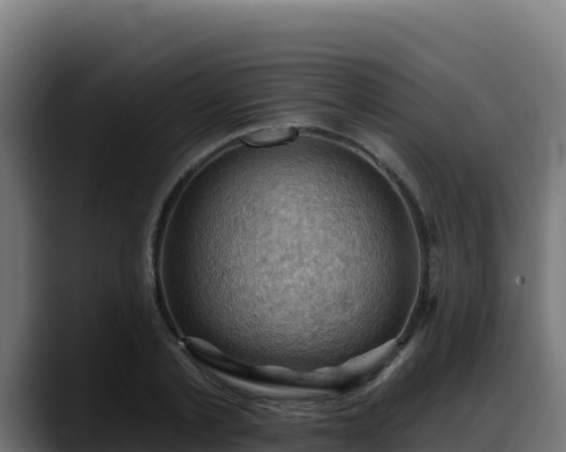 X0000088380789200705291347