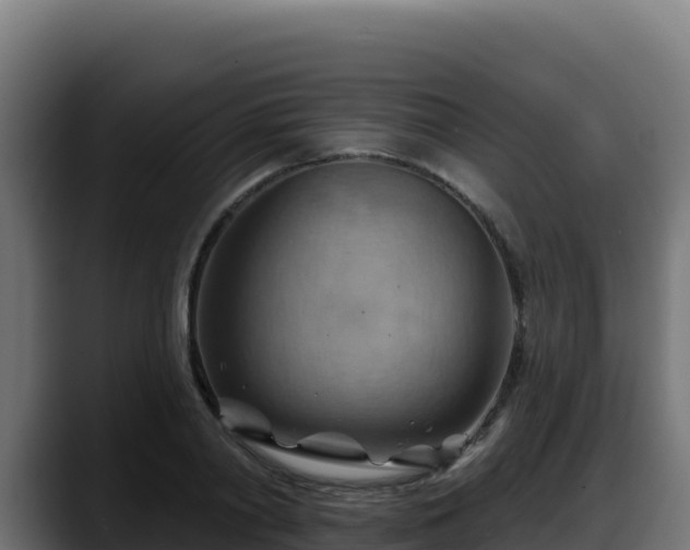 X0000088380790200705291347