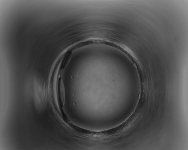X0000088380791200705291347