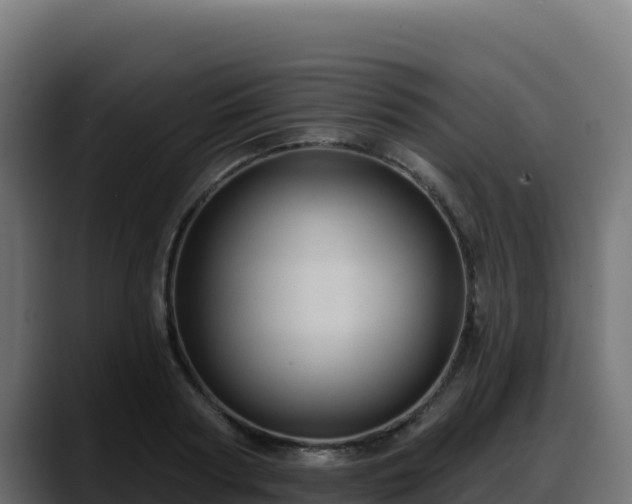 X0000088380794200705291347