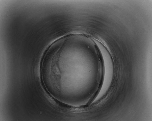 X0000088380795200705291347