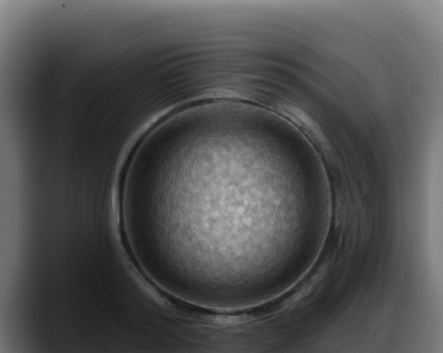 X0000088380796200705291347