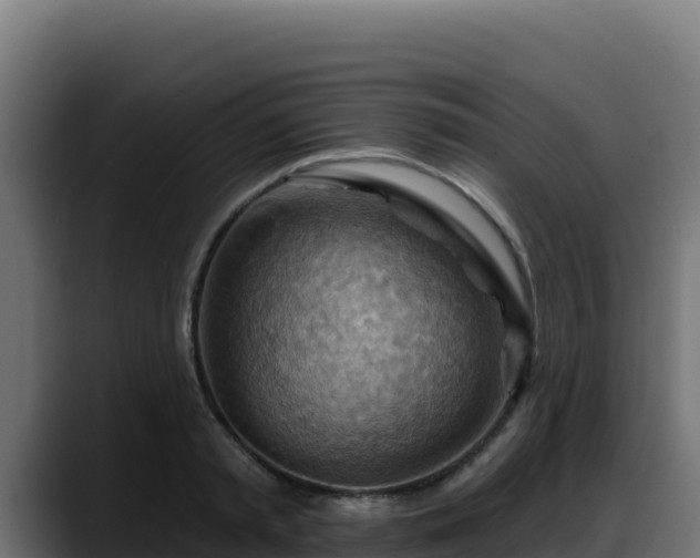 X0000088380797200705291347